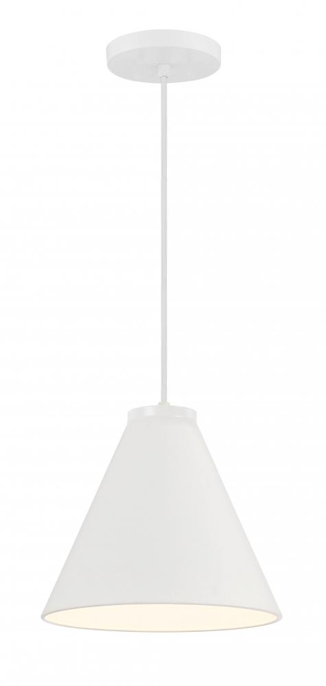 1 LIGHT, HANGING CONICAL FIXTURE