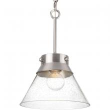 Progress P350139-009 - POINT DUMEÂ® byJeffrey Alan Marks for Progress Lighting Tapia Trail Collection Brushed Nickel  Semi-