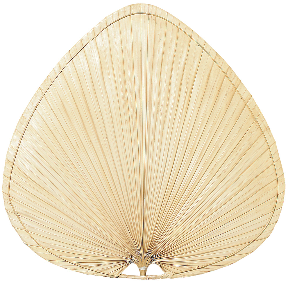 Palmetto Blade Set of 3 - 18 inch - Wide Oval Palm - A