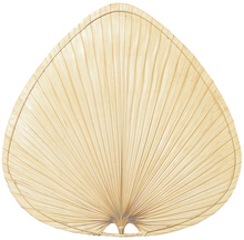 Fanimation PMP2AB - Palmetto Blade Set of 3 - 18 inch - Wide Oval Palm - A